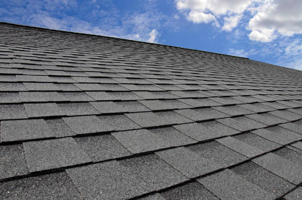  Humboldt, IA Roofing Service Pros